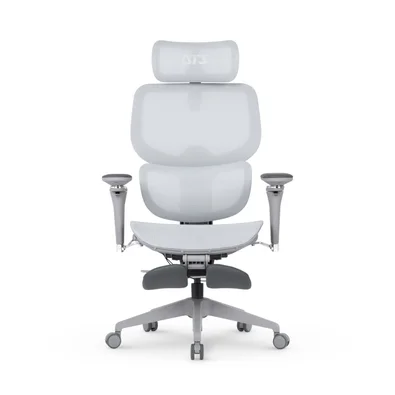 Cadeira Office DT3 Ergonomie FT, Até 160kg, Reclinável, Braço 5D, Cilindro de Gás Claase 4, Cinza - 14436-8