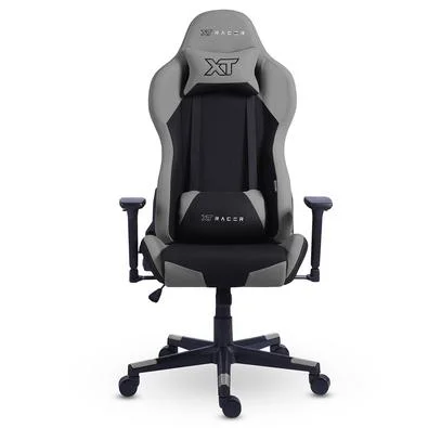 Cadeira Gamer XT Racer Defender NR17, Até 120kg, Com Almofadas, Reclinável, Descanso de Braço 3D, Preto e Cinza - XTR-032