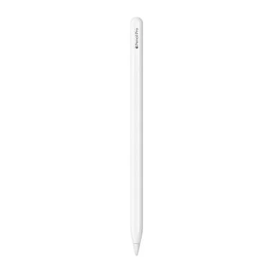 Apple Pencil Pro para iPad - MX2D3AM/A