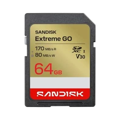 Cartão de Memória Sandisk Extreme Go SDXC 64GB, UHS-I, Classe 10 - SDSDXGN-064G-GNCIN