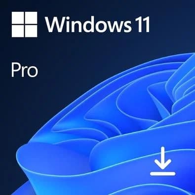 Microsoft Windows 11 Pro